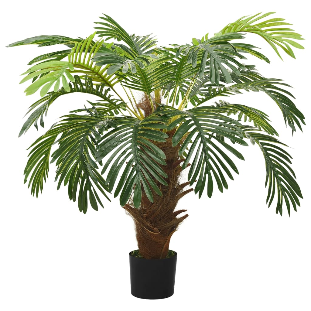 Cycas Palm tree - 90cm